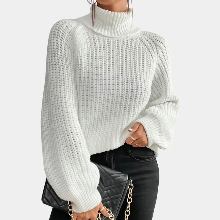 Averine™ | Knit Turtleneck
